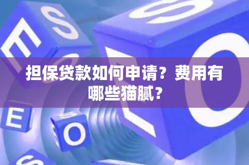 担保贷款如何申请？费用有哪些猫腻？